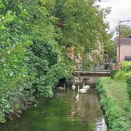 Petite Parenthèse Normande Appartement Beaumont-le-Roger